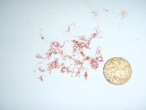  ( - GWS036069)  @11 [ ] Unspecified (default): All Rights Reserved  Unspecified Unspecified