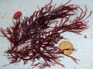  ( - GWS036845)  @11 [ ] Unspecified (default): All Rights Reserved  Unspecified Unspecified