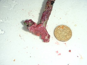  ( - GWS037288)  @11 [ ] Unspecified (default): All Rights Reserved  Unspecified Unspecified