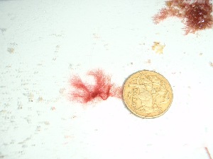 ( - GWS037627)  @11 [ ] Unspecified (default): All Rights Reserved  Unspecified Unspecified