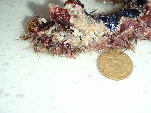  ( - GWS037673)  @11 [ ] Unspecified (default): All Rights Reserved  Unspecified Unspecified