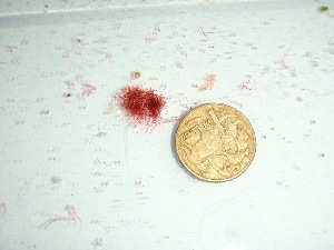  ( - GWS037742)  @11 [ ] Unspecified (default): All Rights Reserved  Unspecified Unspecified