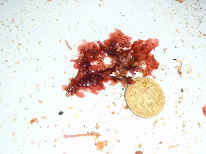  ( - GWS038459)  @11 [ ] Unspecified (default): All Rights Reserved  Unspecified Unspecified
