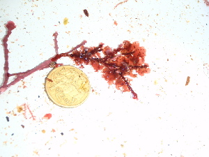  ( - GWS038469)  @11 [ ] Unspecified (default): All Rights Reserved  Unspecified Unspecified