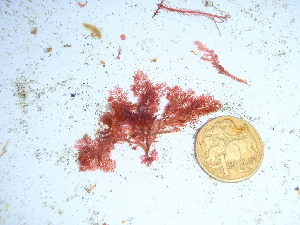  ( - GWS039022)  @11 [ ] Unspecified (default): All Rights Reserved  Unspecified Unspecified