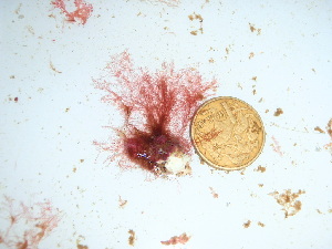  ( - GWS039444)  @11 [ ] Unspecified (default): All Rights Reserved  Unspecified Unspecified