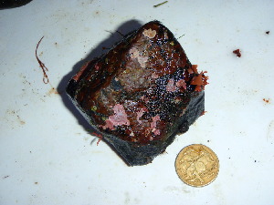  ( - GWS040230)  @11 [ ] Unspecified (default): All Rights Reserved  Unspecified Unspecified