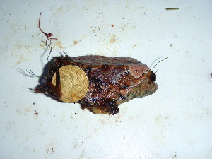  ( - GWS040236)  @11 [ ] Unspecified (default): All Rights Reserved  Unspecified Unspecified