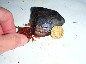  ( - GWS040238)  @11 [ ] Unspecified (default): All Rights Reserved  Unspecified Unspecified