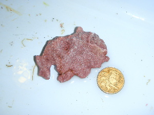  ( - GWS040335)  @11 [ ] Unspecified (default): All Rights Reserved  Unspecified Unspecified