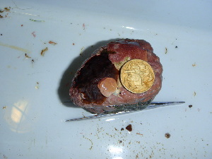  ( - GWS040350)  @11 [ ] Unspecified (default): All Rights Reserved  Unspecified Unspecified