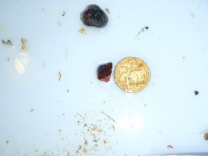  ( - GWS040351)  @11 [ ] Unspecified (default): All Rights Reserved  Unspecified Unspecified