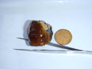  ( - GWS040358)  @11 [ ] Unspecified (default): All Rights Reserved  Unspecified Unspecified