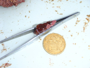  ( - GWS040431)  @11 [ ] Unspecified (default): All Rights Reserved  Unspecified Unspecified