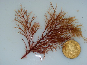  ( - GWS040735)  @11 [ ] Unspecified (default): All Rights Reserved  Unspecified Unspecified