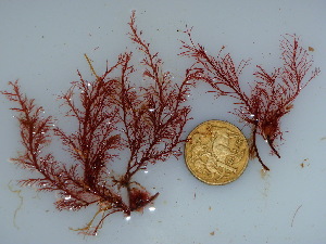  ( - GWS040755)  @11 [ ] Unspecified (default): All Rights Reserved  Unspecified Unspecified