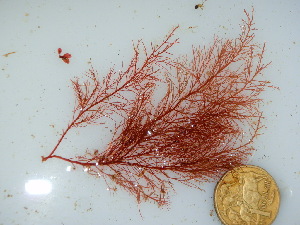  ( - GWS040770)  @11 [ ] Unspecified (default): All Rights Reserved  Unspecified Unspecified