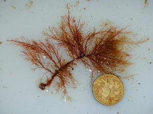  ( - GWS040806)  @11 [ ] Unspecified (default): All Rights Reserved  Unspecified Unspecified