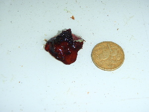  ( - GWS041722)  @11 [ ] Unspecified (default): All Rights Reserved  Unspecified Unspecified