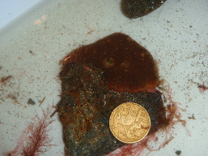  ( - GWS042067)  @11 [ ] Unspecified (default): All Rights Reserved  Unspecified Unspecified