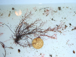  ( - GWS042112)  @11 [ ] Unspecified (default): All Rights Reserved  Unspecified Unspecified