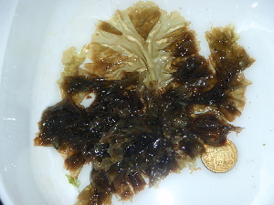  ( - GWS043969)  @11 [ ] Unspecified (default): All Rights Reserved  Unspecified Unspecified