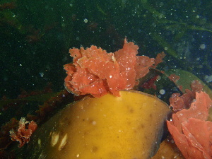  ( - GWS044139)  @11 [ ] Unspecified (default): All Rights Reserved  Unspecified Unspecified