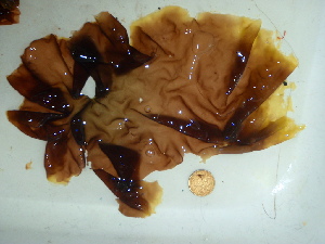  ( - GWS044164)  @11 [ ] Unspecified (default): All Rights Reserved  Unspecified Unspecified