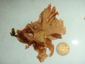  ( - GWS044186)  @11 [ ] Unspecified (default): All Rights Reserved  Unspecified Unspecified