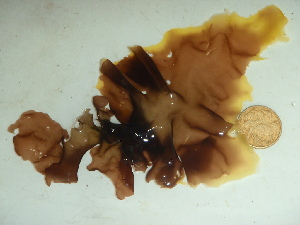  ( - GWS044189)  @11 [ ] Unspecified (default): All Rights Reserved  Unspecified Unspecified