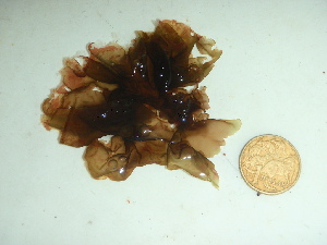  ( - GWS044191)  @11 [ ] Unspecified (default): All Rights Reserved  Unspecified Unspecified