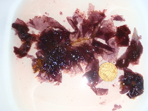  ( - GWS044244)  @11 [ ] Unspecified (default): All Rights Reserved  Unspecified Unspecified