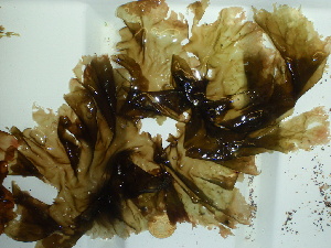  ( - GWS044555)  @11 [ ] Unspecified (default): All Rights Reserved  Unspecified Unspecified