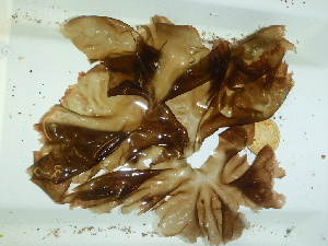  ( - GWS044556)  @11 [ ] Unspecified (default): All Rights Reserved  Unspecified Unspecified