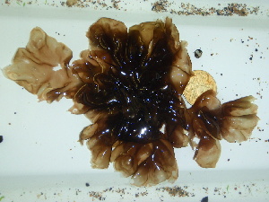  ( - GWS044559)  @11 [ ] Unspecified (default): All Rights Reserved  Unspecified Unspecified