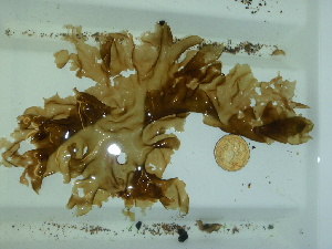  ( - GWS044562)  @11 [ ] Unspecified (default): All Rights Reserved  Unspecified Unspecified