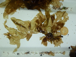  ( - GWS044563)  @11 [ ] Unspecified (default): All Rights Reserved  Unspecified Unspecified