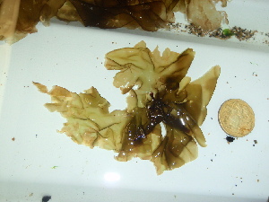  ( - GWS044565)  @11 [ ] Unspecified (default): All Rights Reserved  Unspecified Unspecified