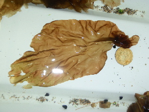  ( - GWS044566)  @11 [ ] Unspecified (default): All Rights Reserved  Unspecified Unspecified