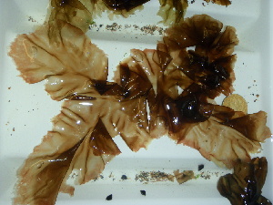  ( - GWS044567)  @11 [ ] Unspecified (default): All Rights Reserved  Unspecified Unspecified