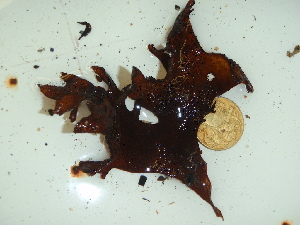  ( - GWS044632)  @11 [ ] Unspecified (default): All Rights Reserved  Unspecified Unspecified