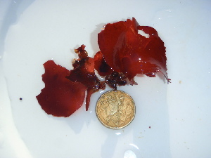  ( - GWS044678)  @11 [ ] Unspecified (default): All Rights Reserved  Unspecified Unspecified