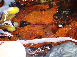  ( - GWS045254)  @11 [ ] Unspecified (default): All Rights Reserved  Unspecified Unspecified