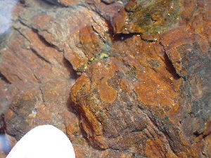  ( - GWS045258)  @11 [ ] Unspecified (default): All Rights Reserved  Unspecified Unspecified