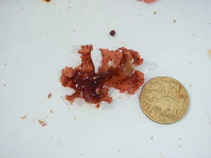  ( - GWS045740)  @11 [ ] Unspecified (default): All Rights Reserved  Unspecified Unspecified