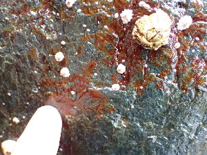  ( - GWS045801)  @11 [ ] Unspecified (default): All Rights Reserved  Unspecified Unspecified