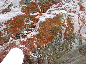  ( - GWS045802)  @11 [ ] Unspecified (default): All Rights Reserved  Unspecified Unspecified