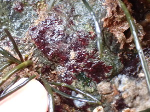  ( - GWS045820)  @11 [ ] Unspecified (default): All Rights Reserved  Unspecified Unspecified