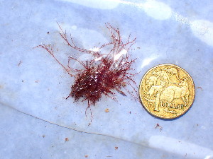  ( - GWS045908)  @11 [ ] Unspecified (default): All Rights Reserved  Unspecified Unspecified