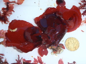  ( - GWS046024)  @11 [ ] Unspecified (default): All Rights Reserved  Unspecified Unspecified